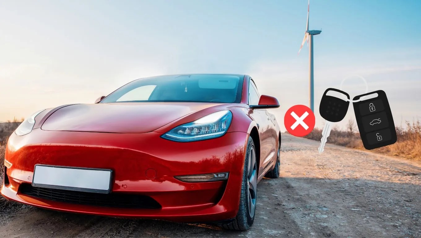 How To Put Tesla in Neutral for Automated Car Wash?