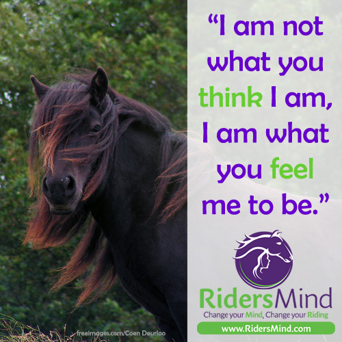 "I am not what you think I am, I am what you feel me to be." Animal