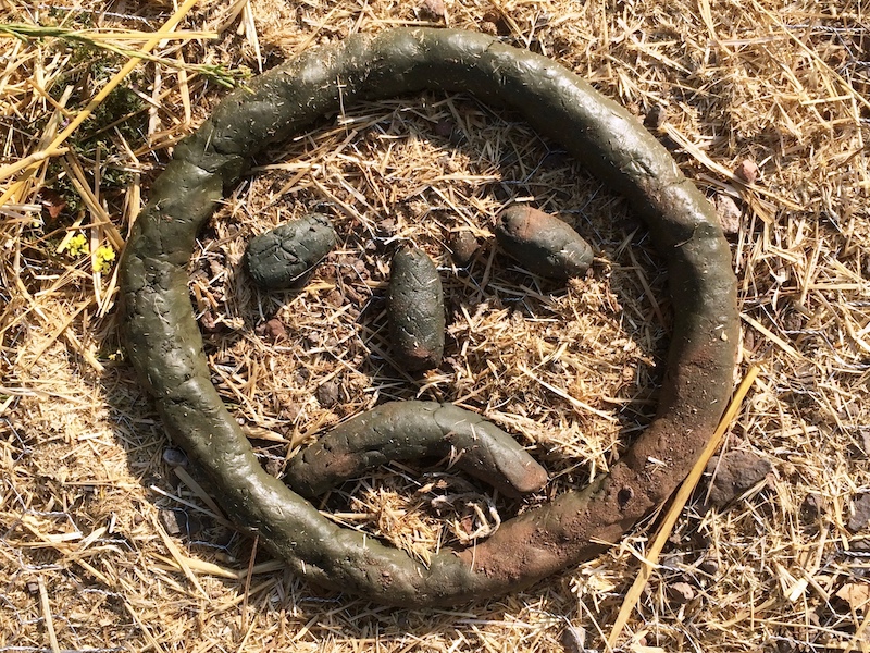 The Sad Labor Lesson Of Pooper Rideshare Justice Project, Fair And