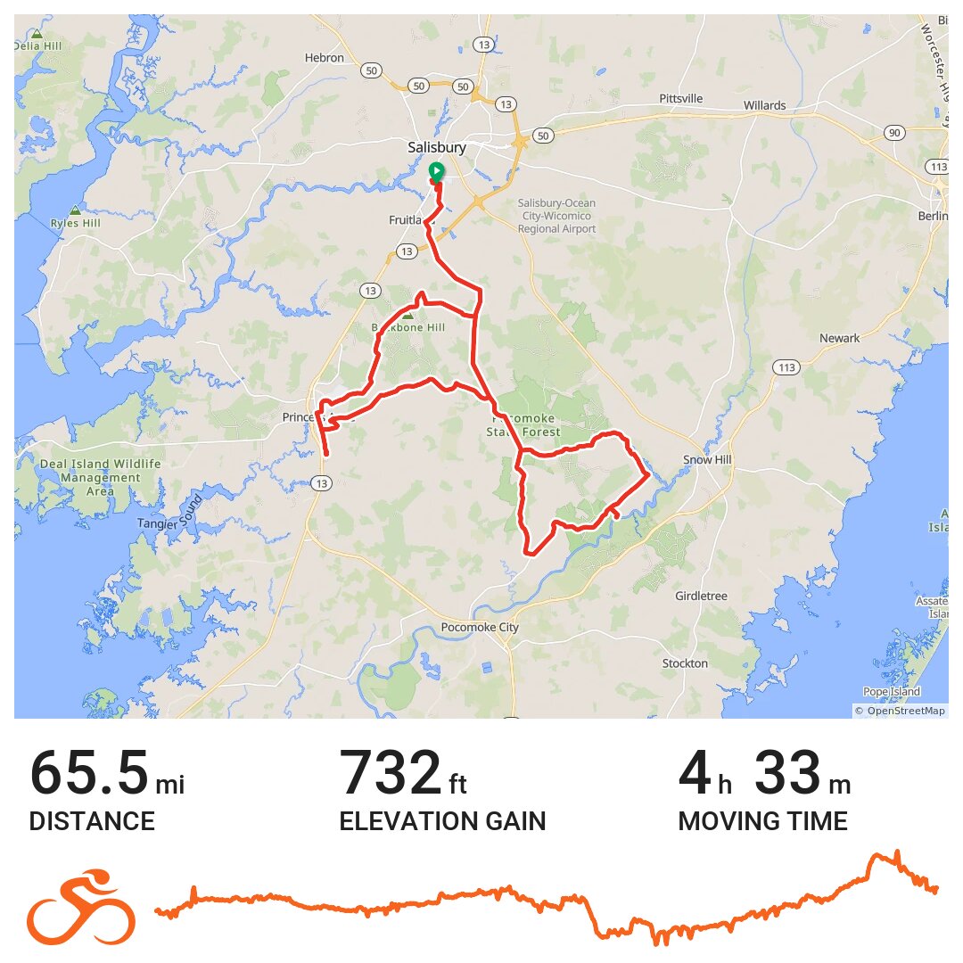 Seagull Century Princess Anne Metric 2013 A bike ride in Salisbury, MD