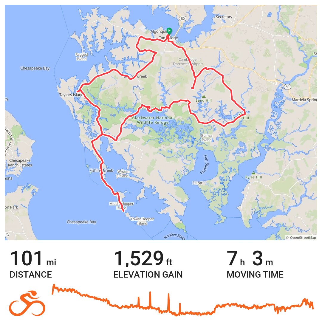 Cambridge, Hoopers Island and farmland 2017 A bike ride in Cambridge, MD