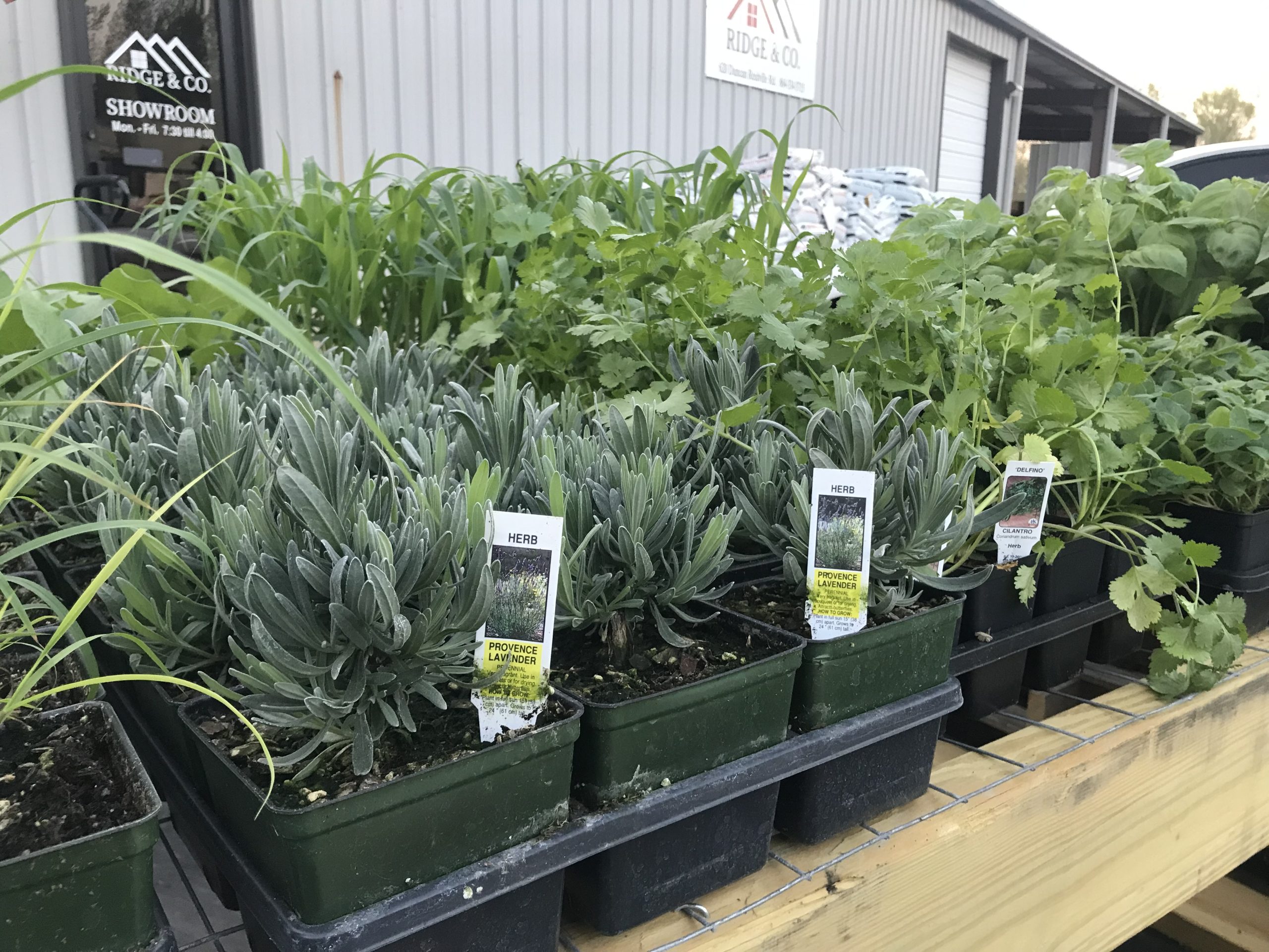 Garden Center in Greer, SC Plants & Supplies Ridge & Co