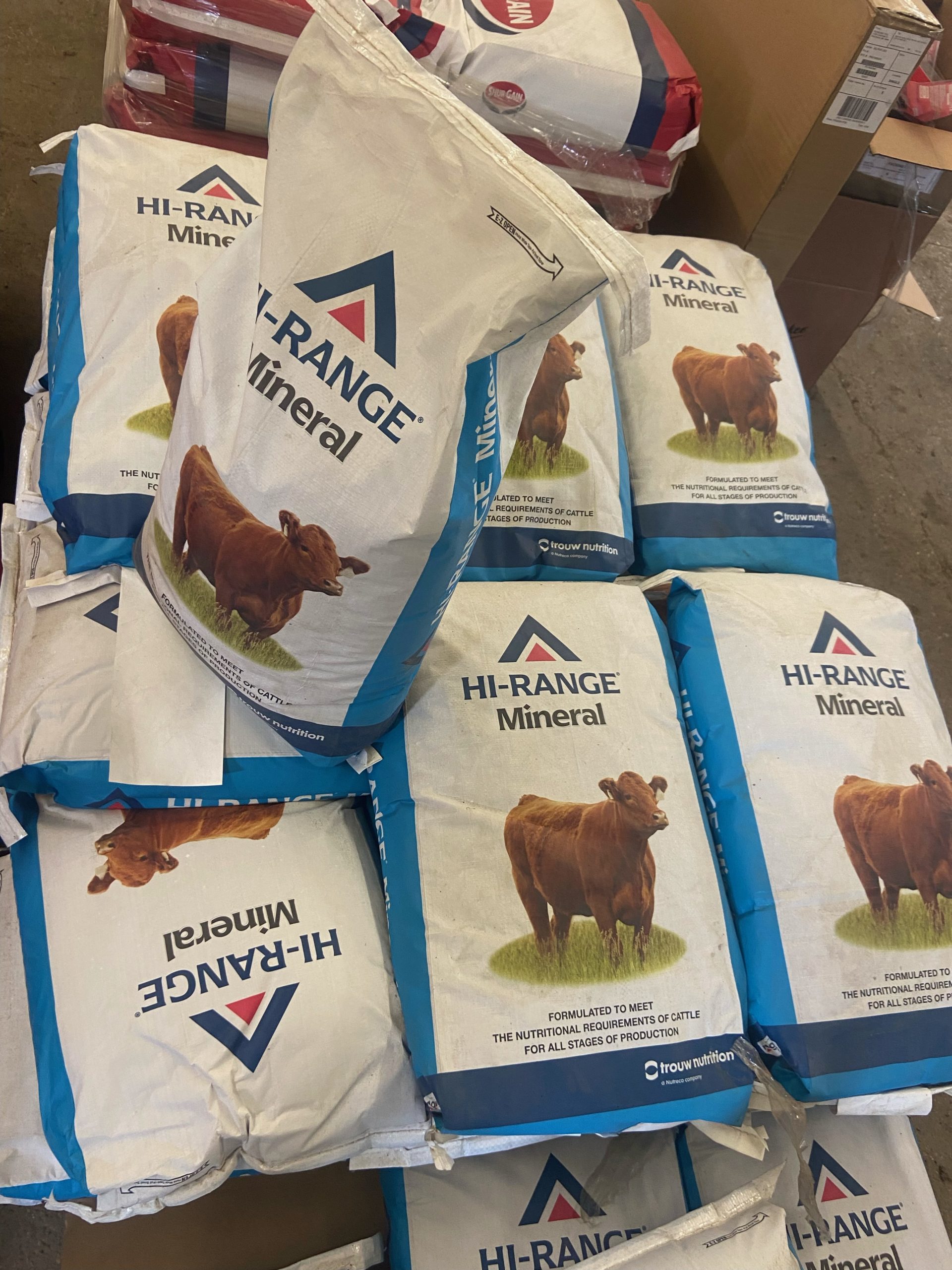 Mineral & Salt Ridge Road Welding