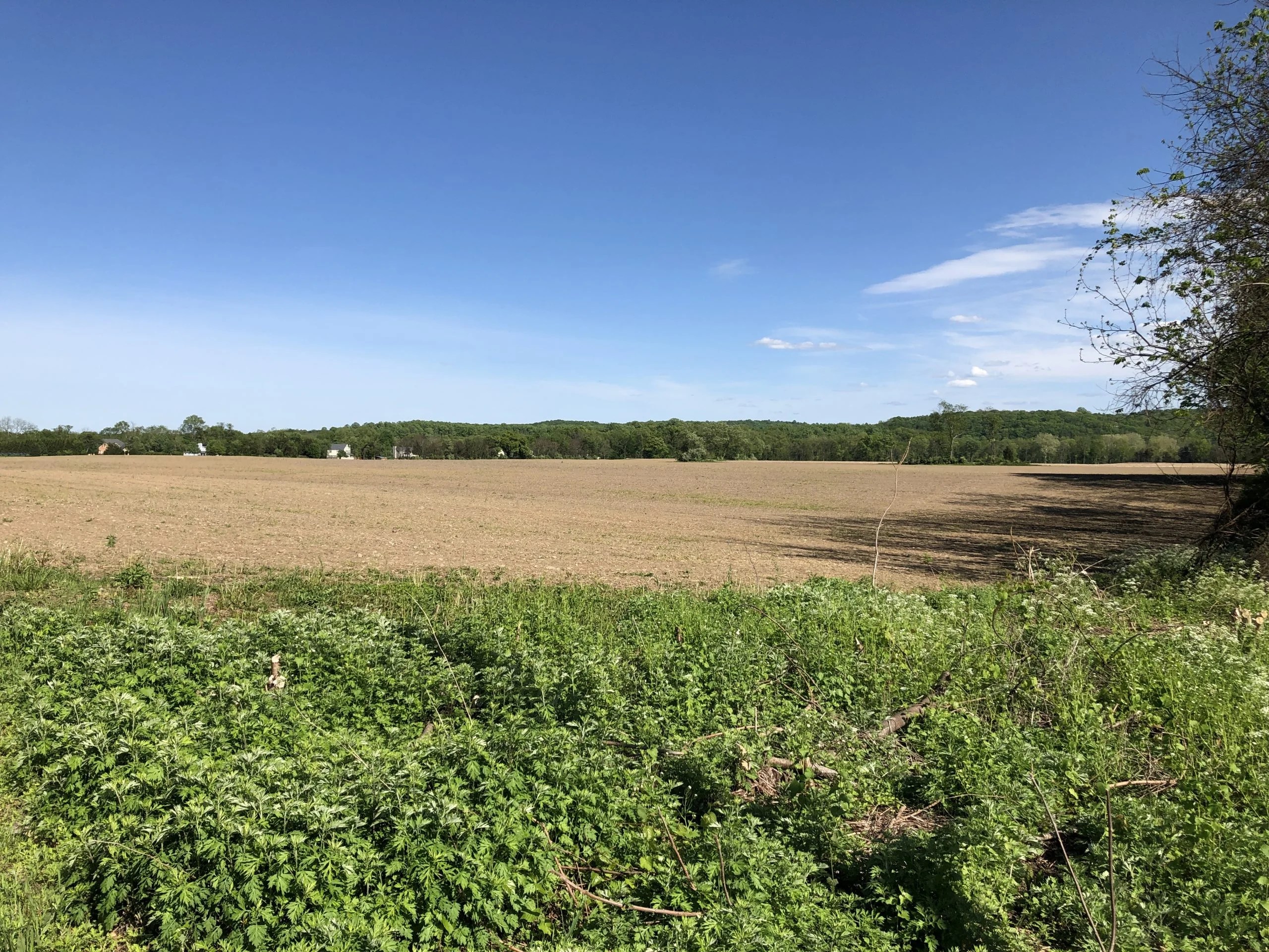Tranquility & Culture Planned for Blairstown's Farm Meadows Community