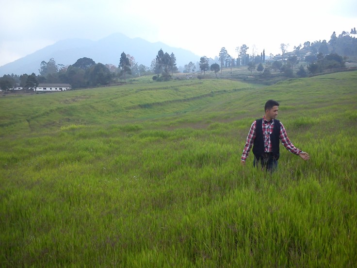Padang Rumput Savana Cihideung Bandung (Padang Rumput Mirip di New