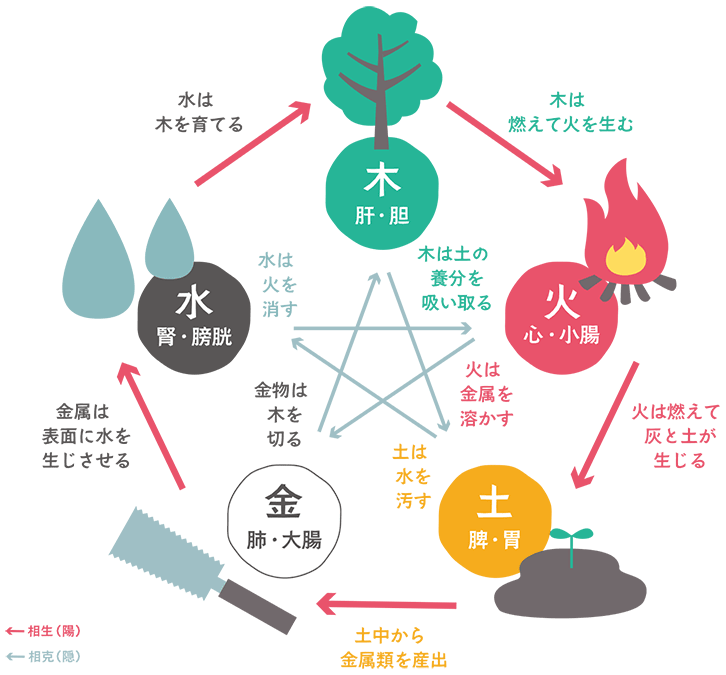 中医学の考え 漢方食養生の林薬局【岐阜大垣】