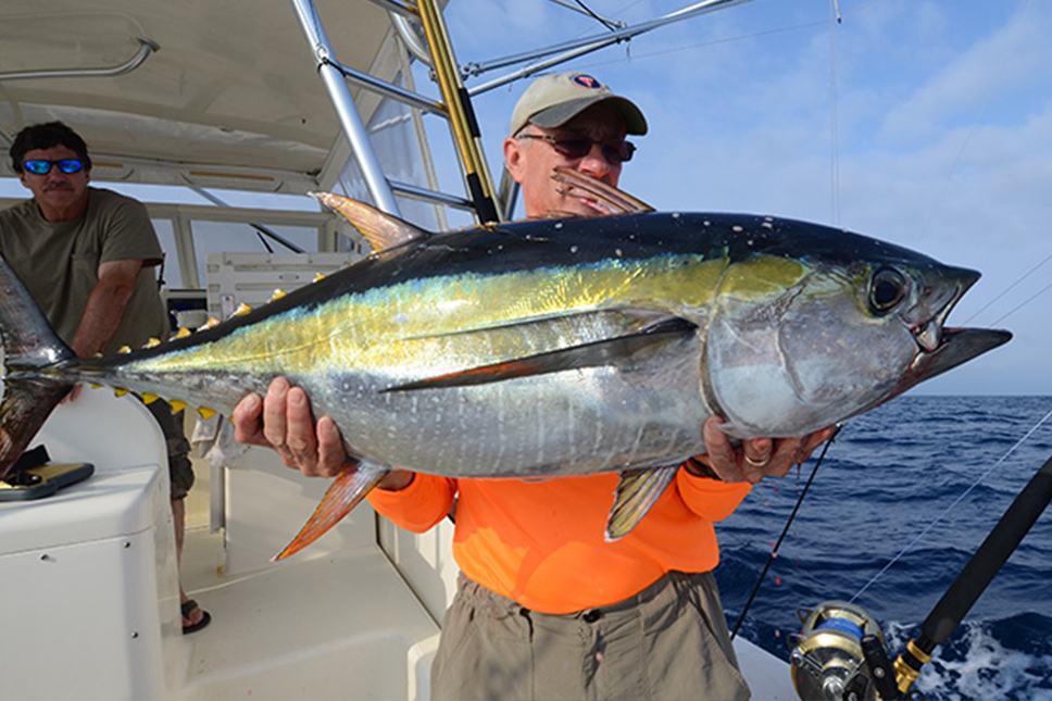 Tuna and Other Offshore Fish RI Fishing