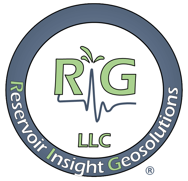Seismic Data Analytics Reservoir Insight Geosolutions