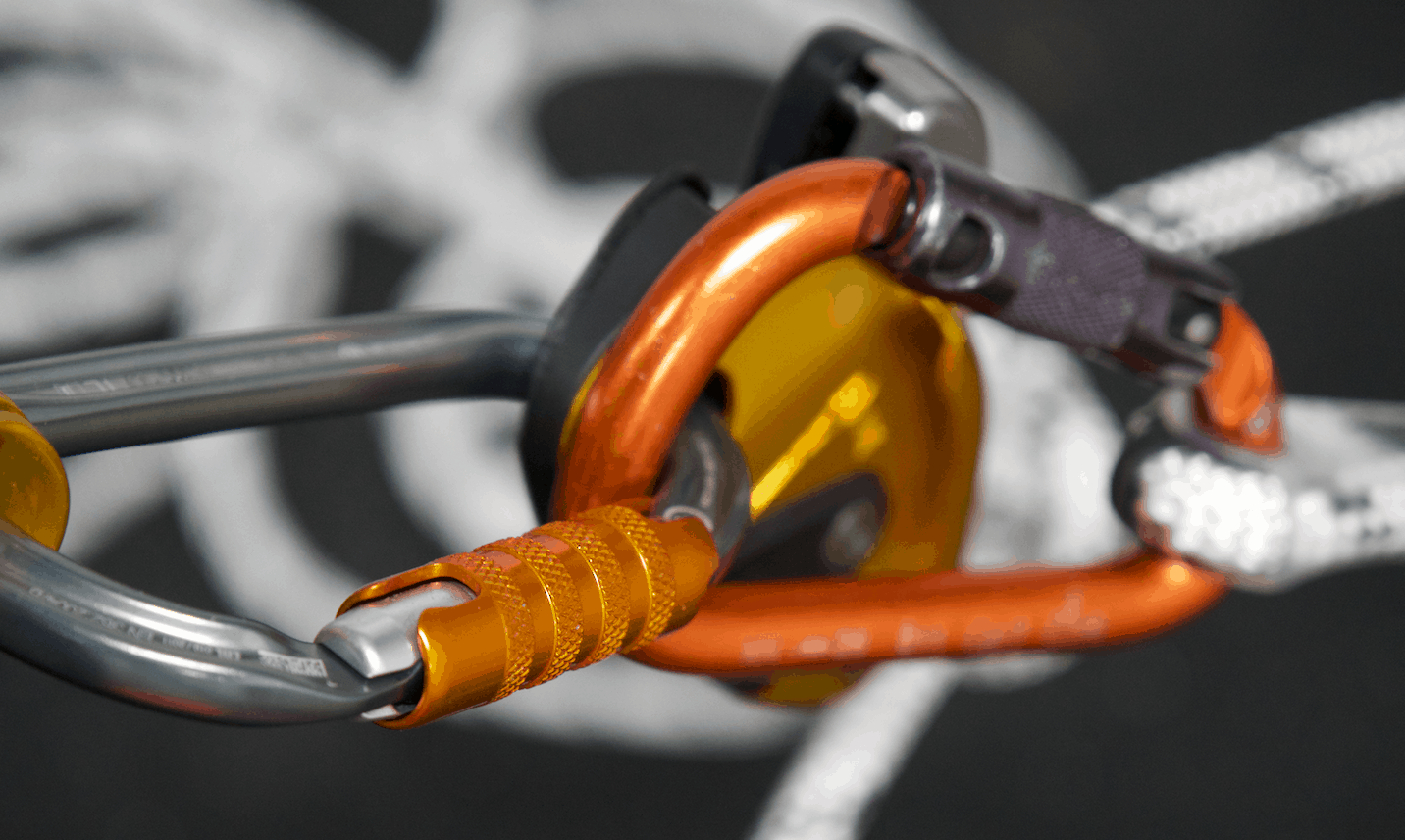 Carabiners Insights Into Choosing A Carabiner Rigging Lab Academy