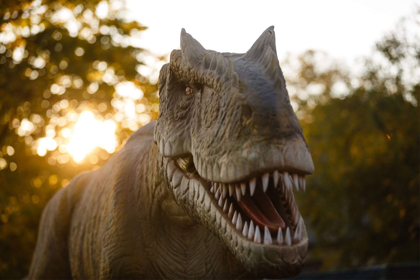 New Dinosaur Theme Park Set To Open In Malaga Right Casa