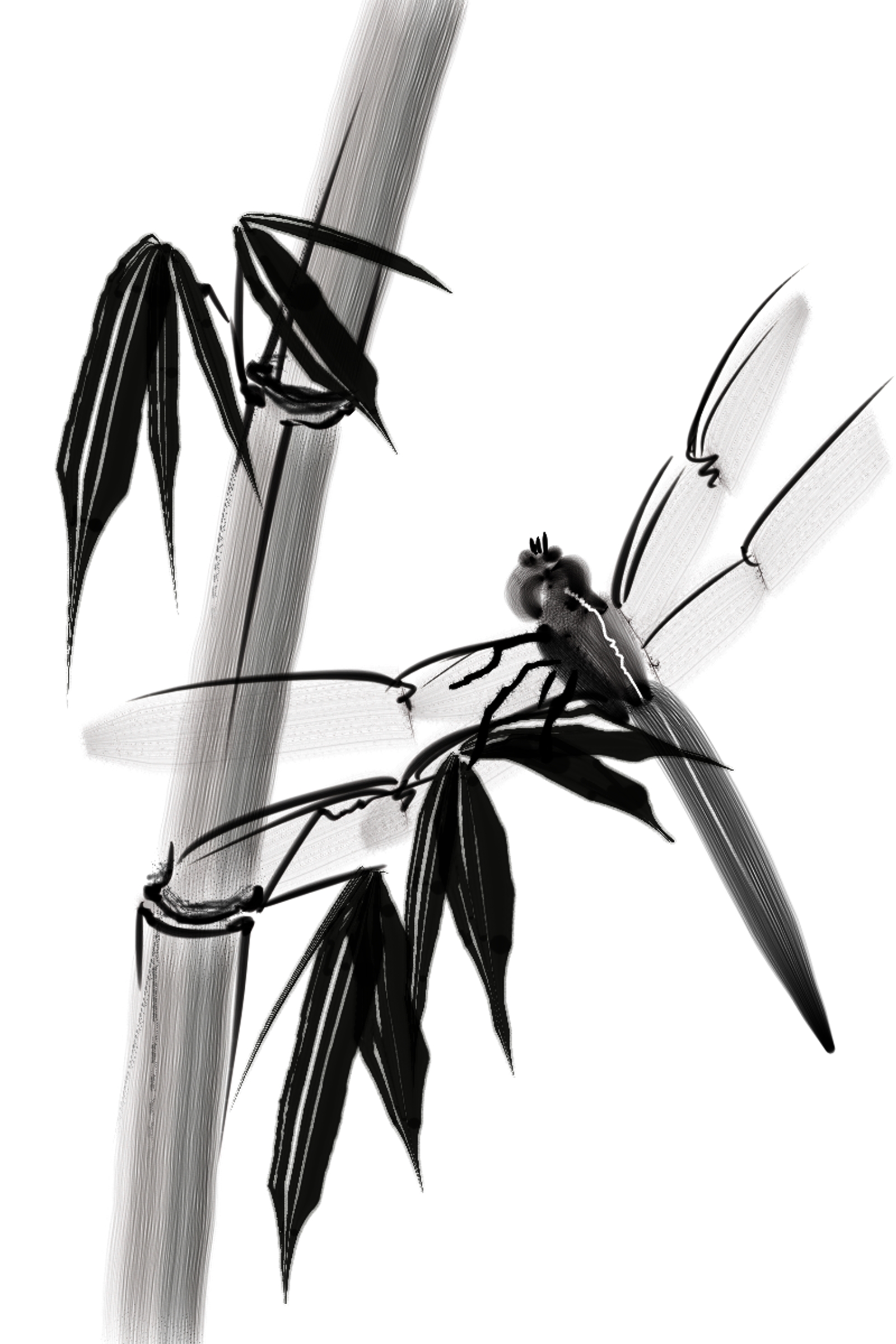 Sumie Dragonfly Skip Allen Paints