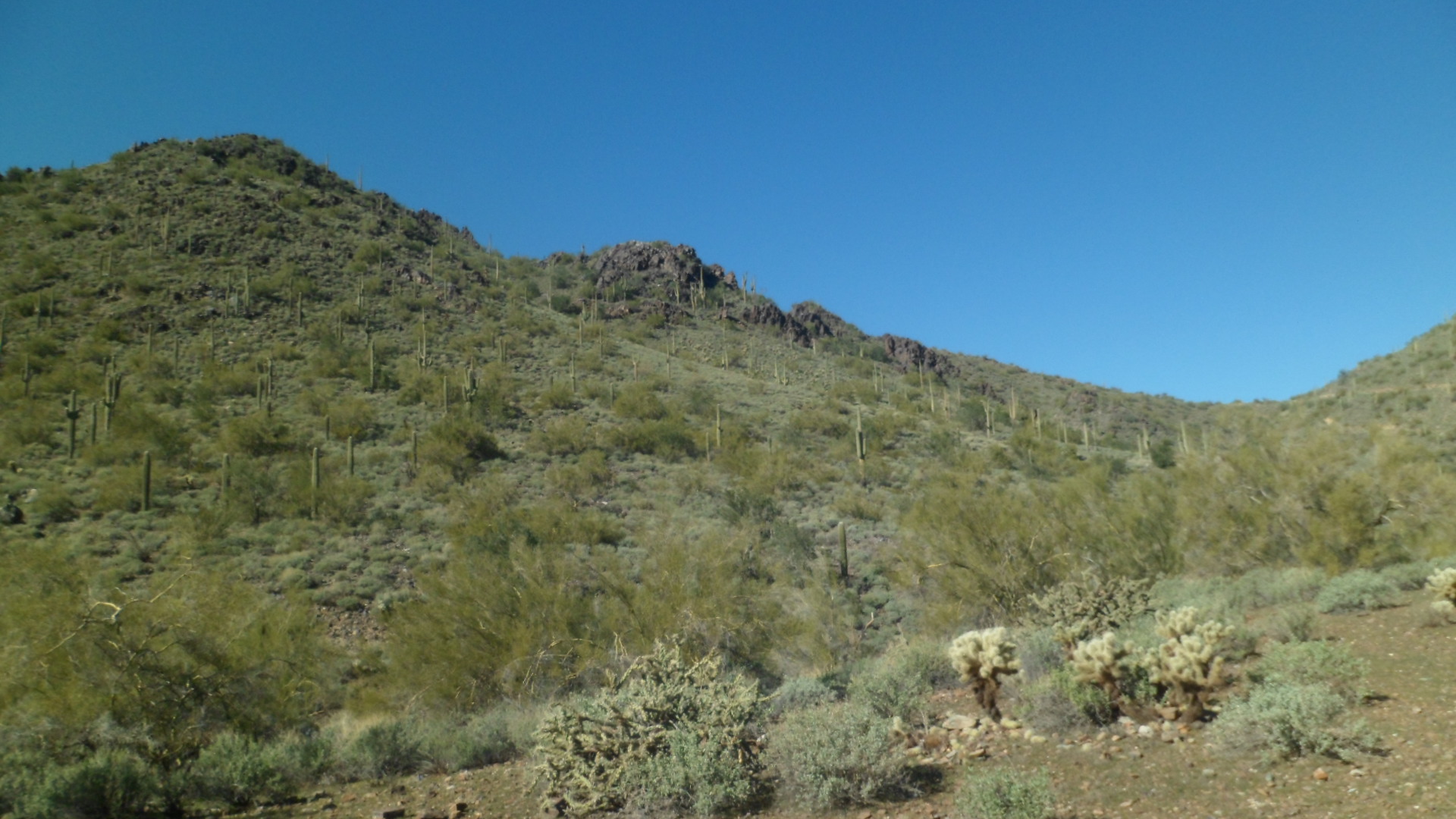 Cave Creek 101 A Sagittarian Seeker