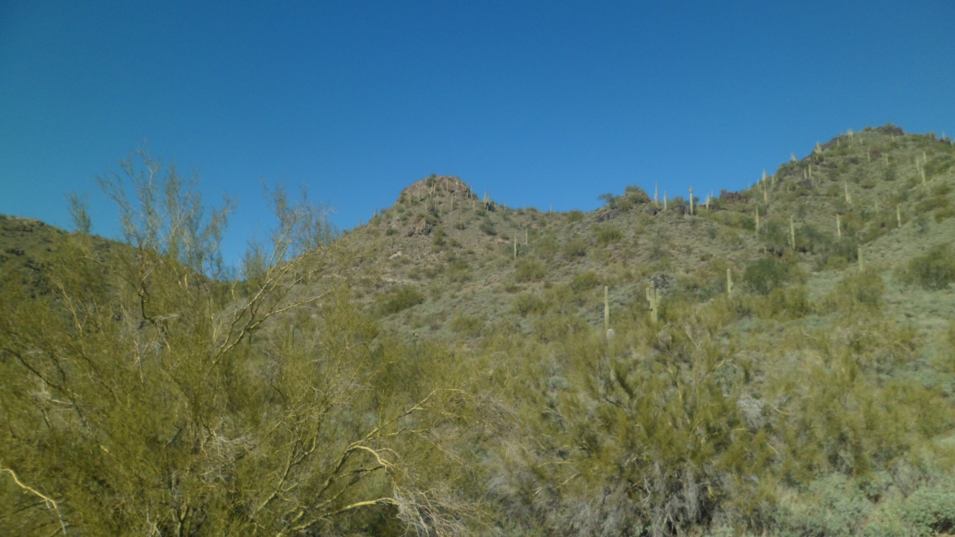 Cave Creek 101 A Sagittarian Seeker