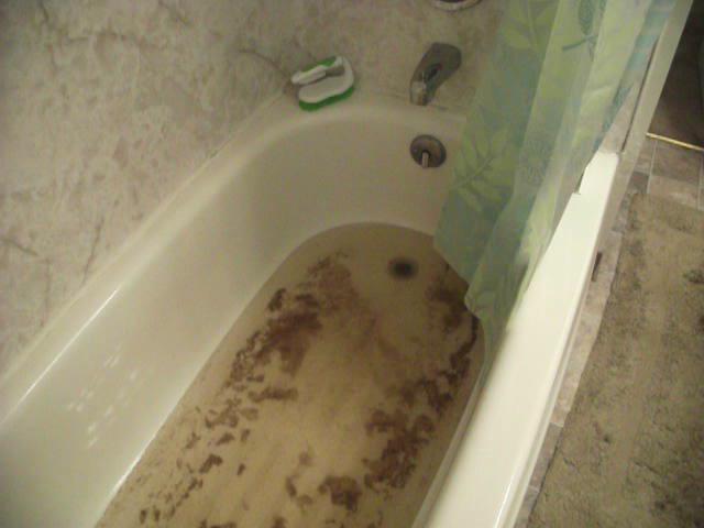 Toilet Clogged Backed Up Into Tub