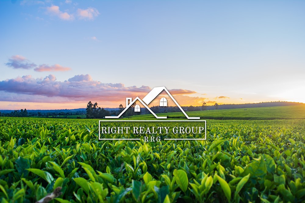 Real Estate Wilson North Carolina Right Realty Group Wilson, North Carolina Real Estate