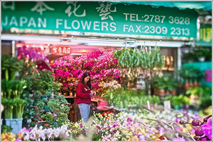 Hong Kong November 2019