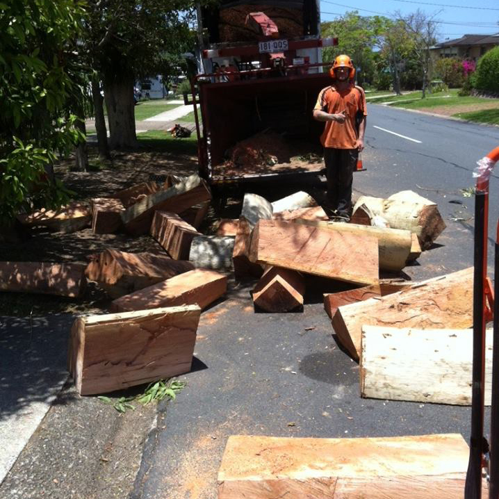 Rightway Tree Solutions Brisbane