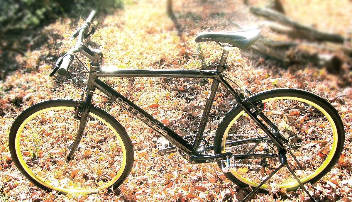 Cannondale RiGiD CUSTOM