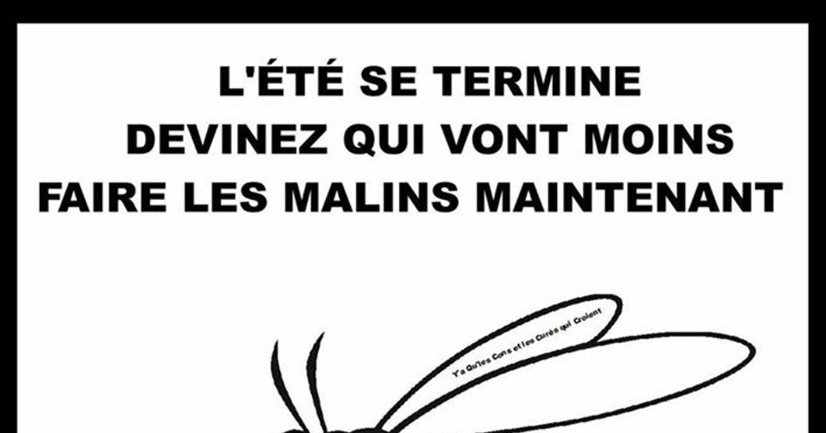 L'ÉTÉ SE TERMINE.. Blagues et les meilleures images drôles!