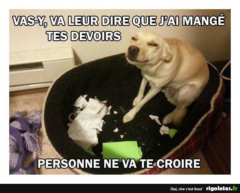 Vasy, va leur... Blagues et les meilleures images drôles!