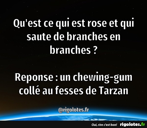 Qu'est ce qui est rose et qui saute de branches en branches ? Blagues