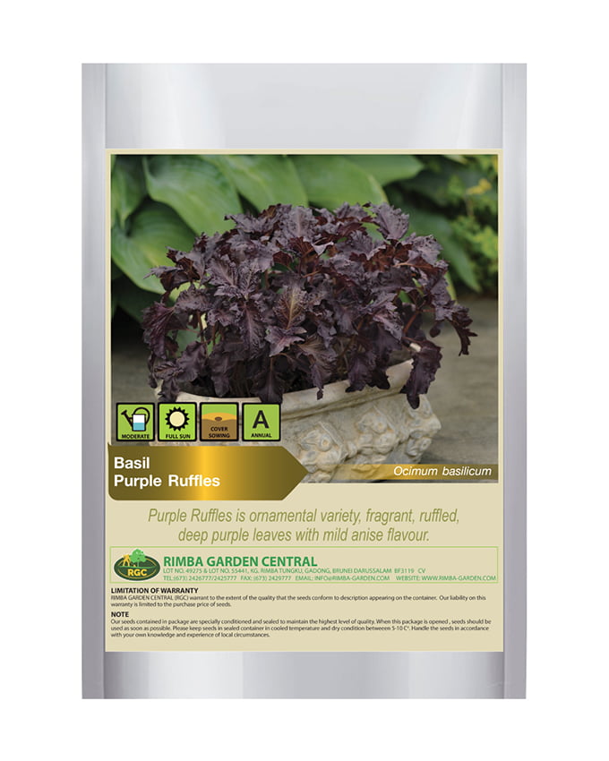Purple Ruffles Basil Rimba Garden Central
