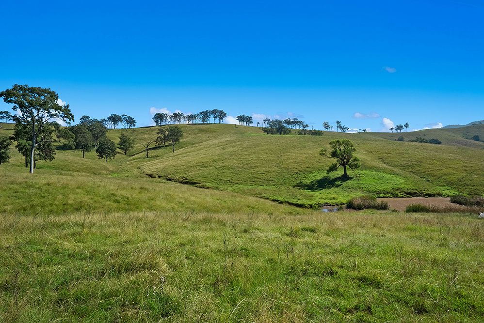 1620 Bingleburra Road, East Gresford NSW 2311 House for Sale 2,200,000