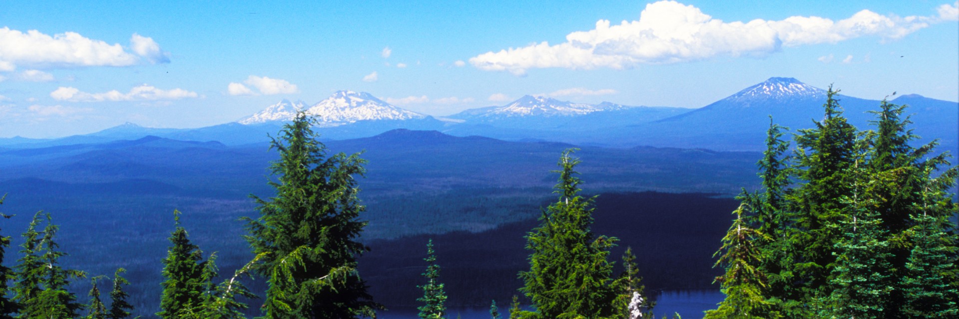Oregon Cascade Mountain Singletrack Guided Mtb Tour