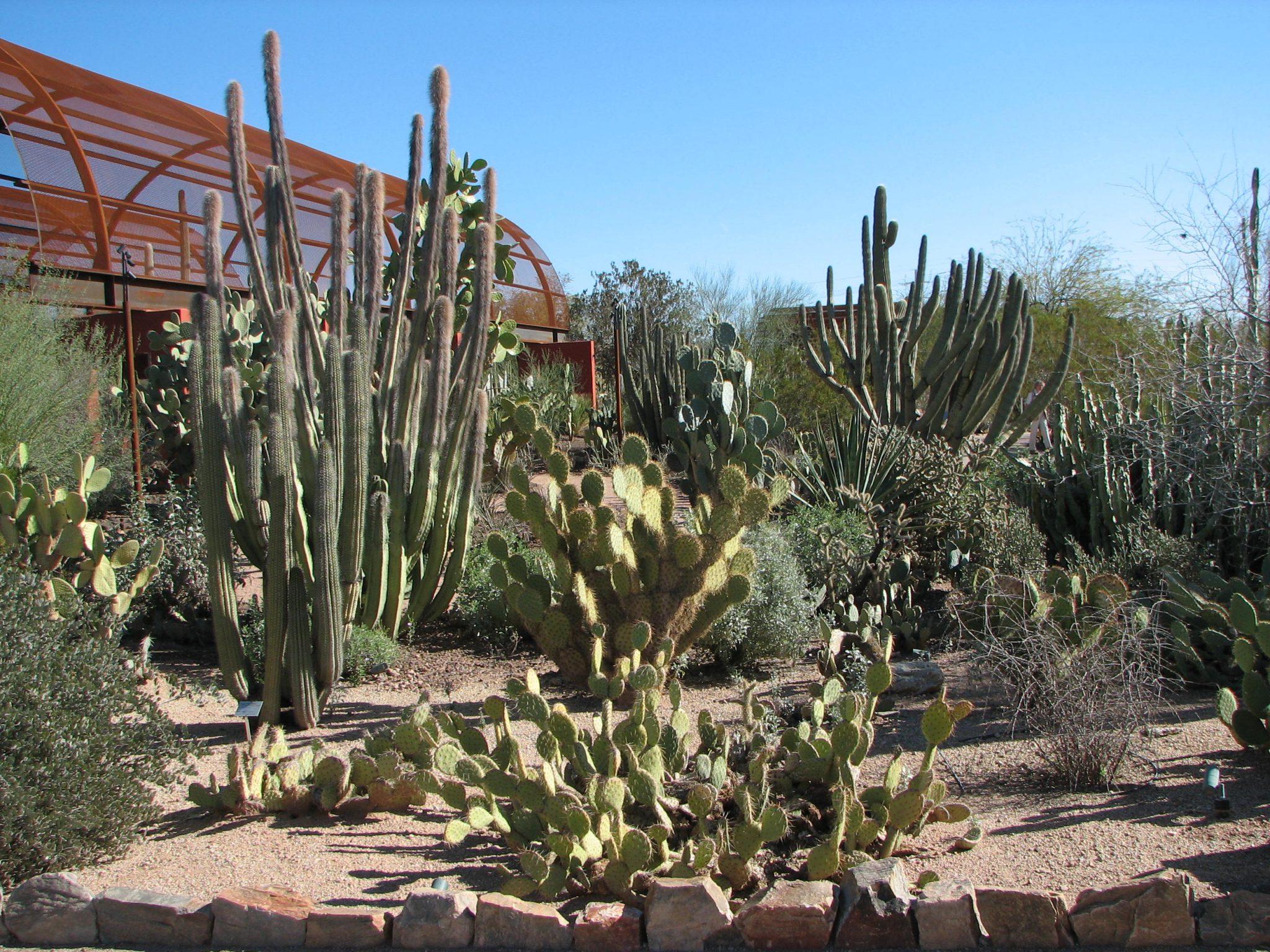 Phoenix Garden Rim Tours