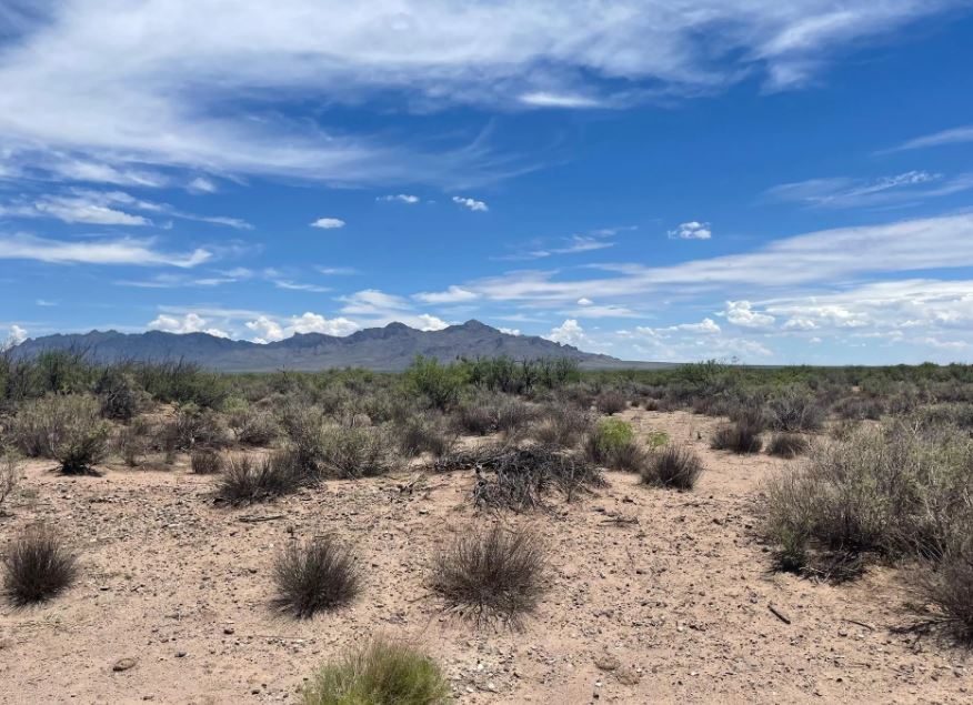 1 acre lot for sale in Deming, NM RINALAND