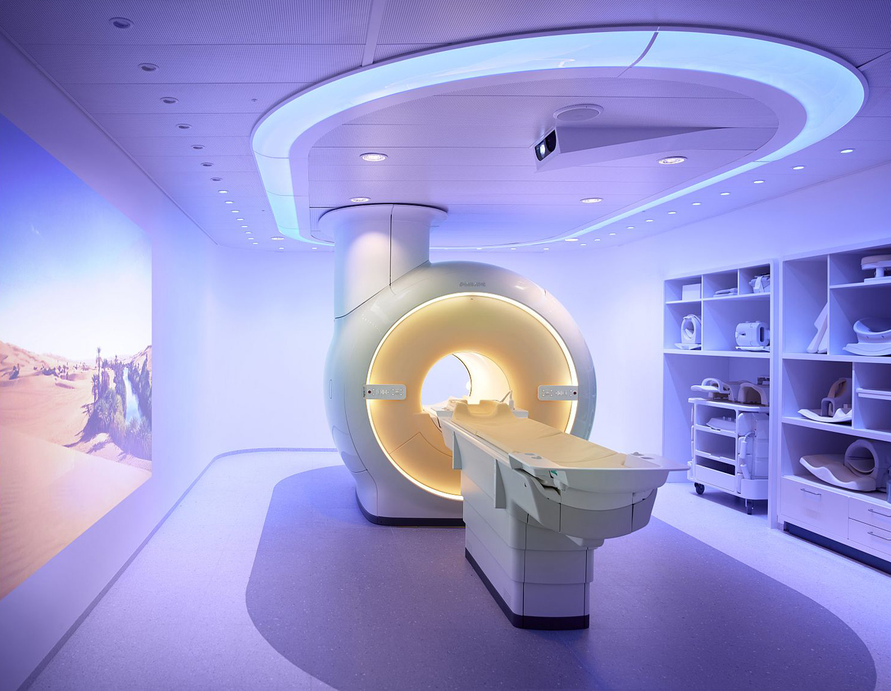 The Rinaldi Group Hospitals and Healthcare Facilities