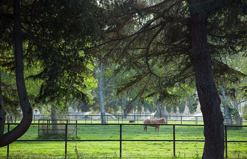 ANVIL RANCH, BUELLTON CA Rincon Corporation