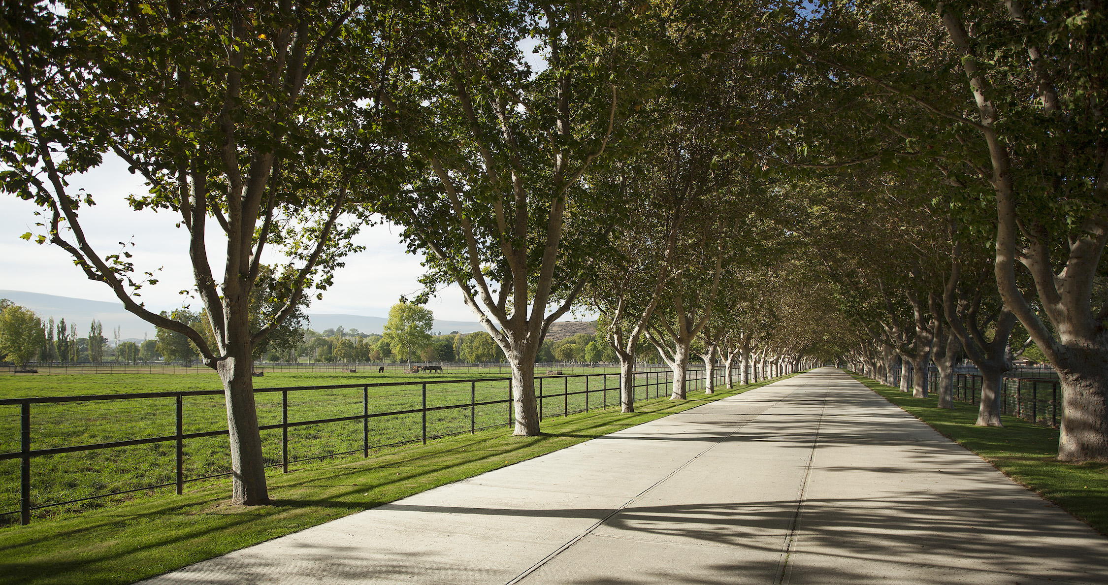 River Edge Farm Headquarters 77+/ Acres, Solvang CA Rincon Corporation