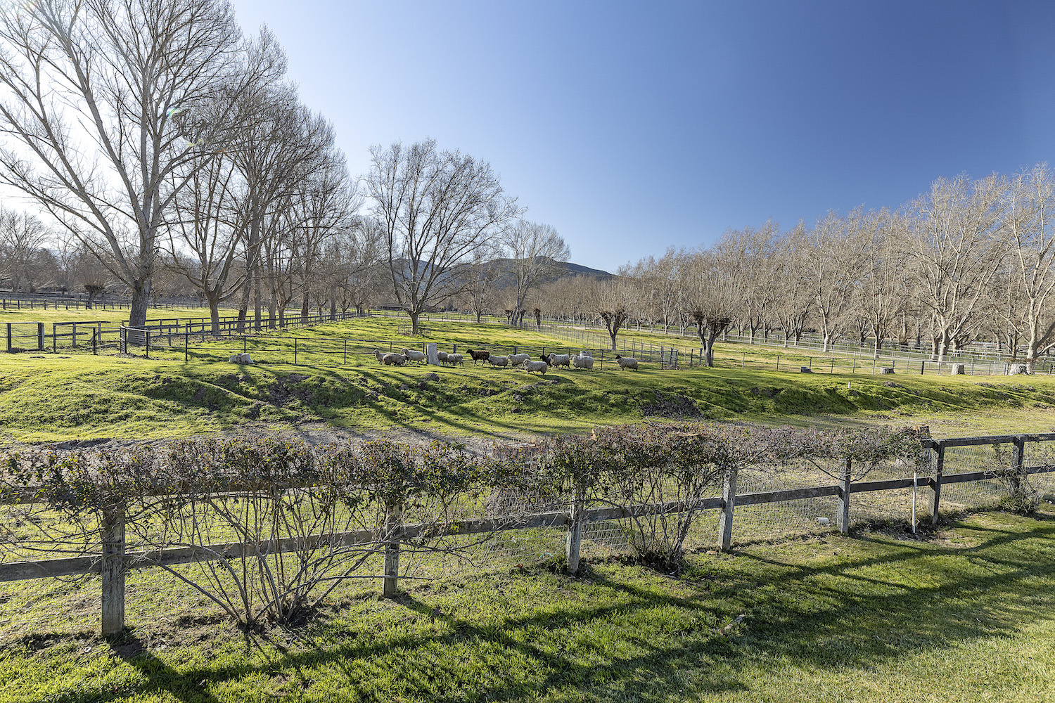 River Edge Farm Headquarters 77+/ Acres, Solvang CA Rincon Corporation