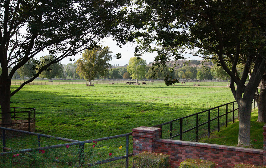River Edge Farm 48+/ Acre Pasture, Solvang CA Rincon Corporation