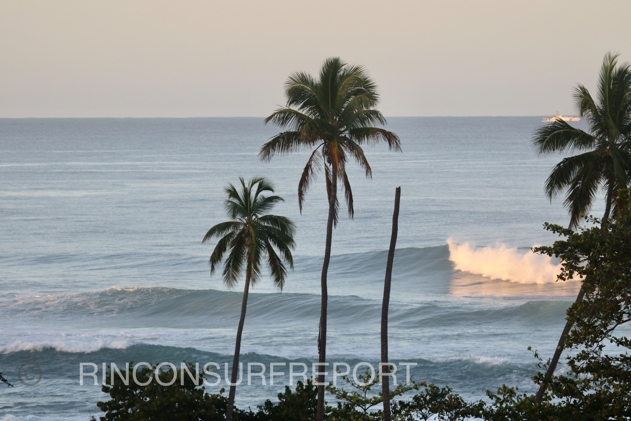 Rincon Surf Report Tuesday January 23, 2024 Rincon Surf Report and Wave Forecast for Puerto