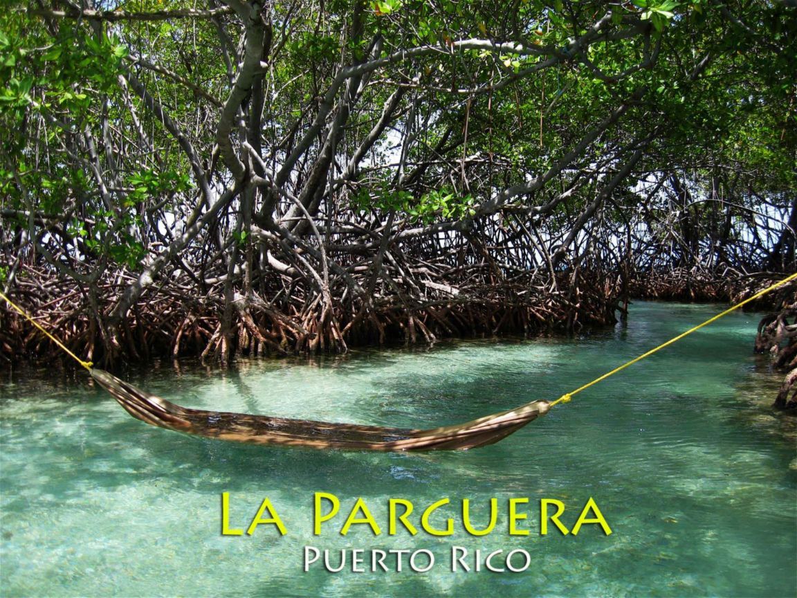 Where Is La Parguera In Puerto Rico at Betty Medlin blog