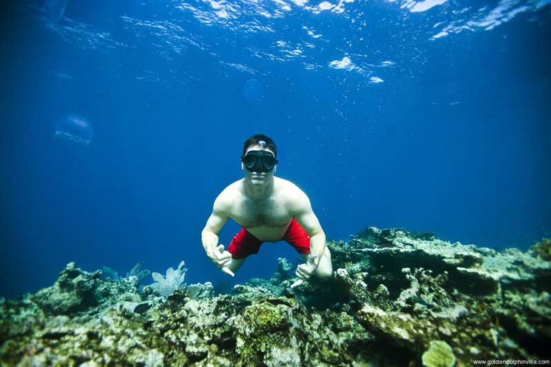 Rincon PR Snorkeling Tours Puerto Rico Watersports