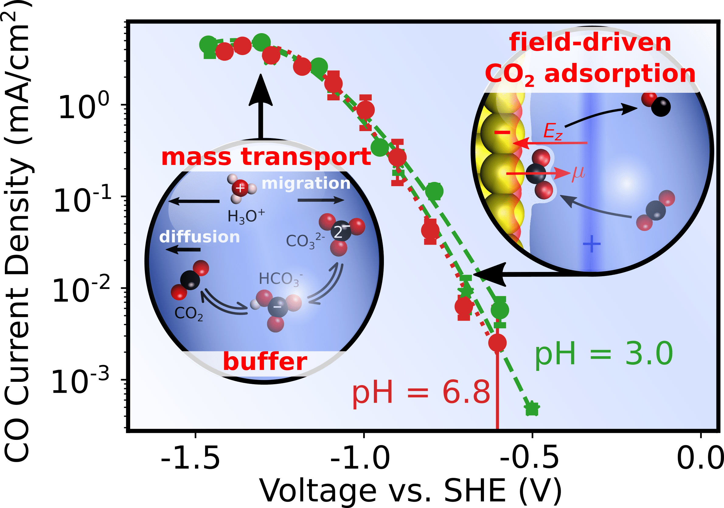 Double layer charging driven carbon dioxide adsorption limits the rate