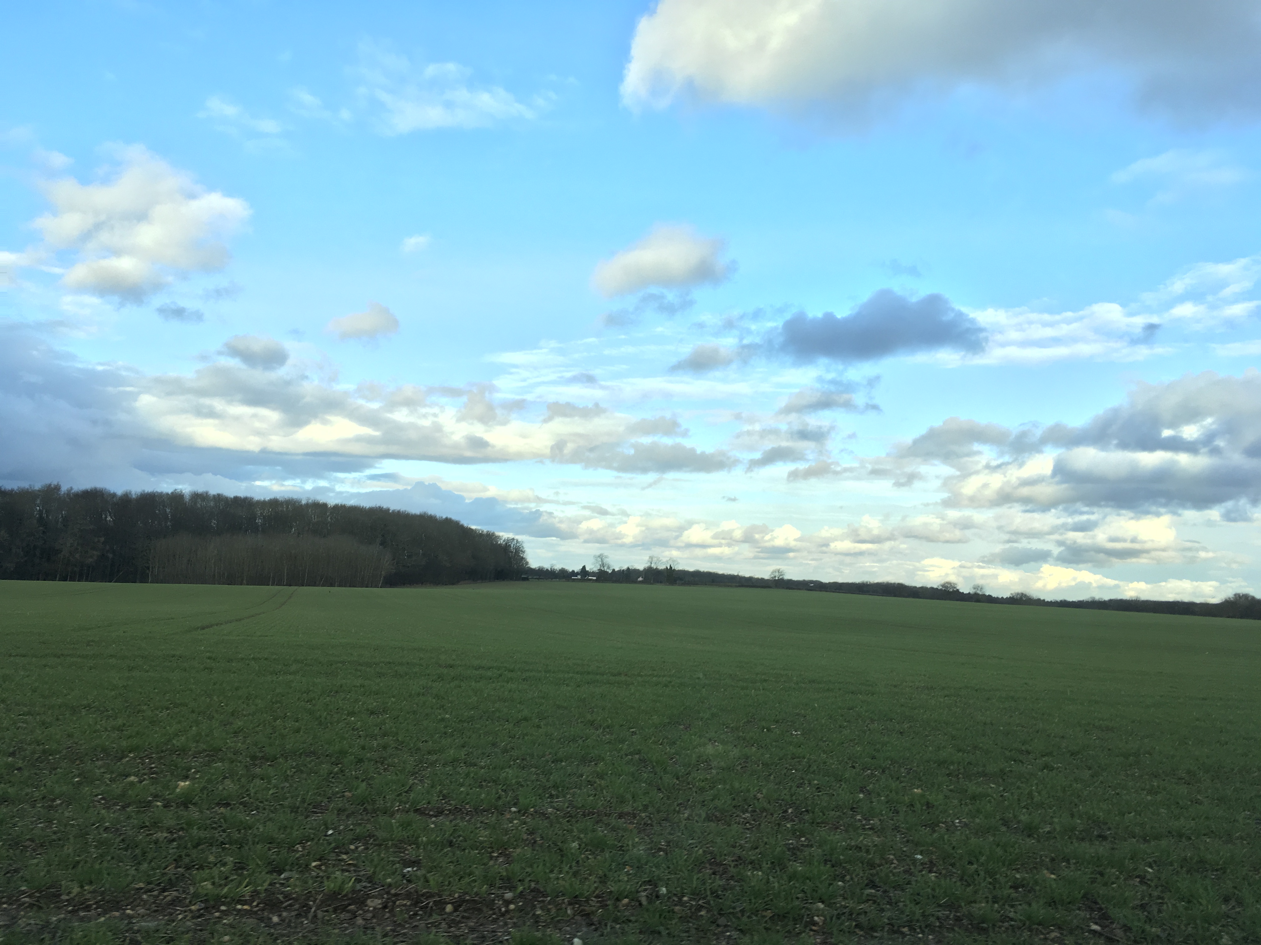 Three Wise Monkeys Vintage Emporium