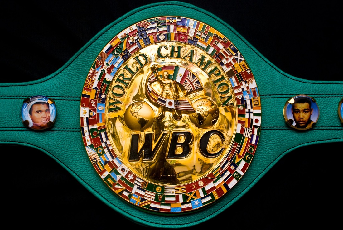 WBC Shocks Boxing World With Latest Move Do You Agree? Vote In Poll