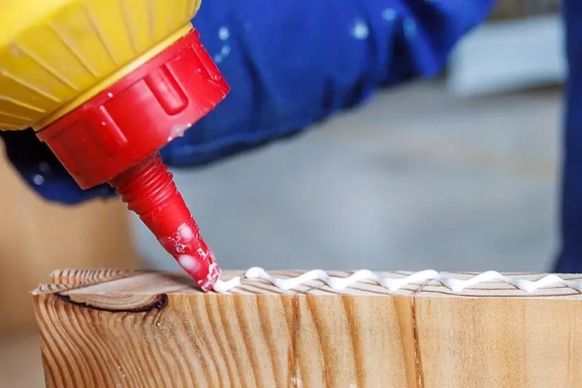 Spotlight on Successful Businesses Tapping into Bangladesh's Booming