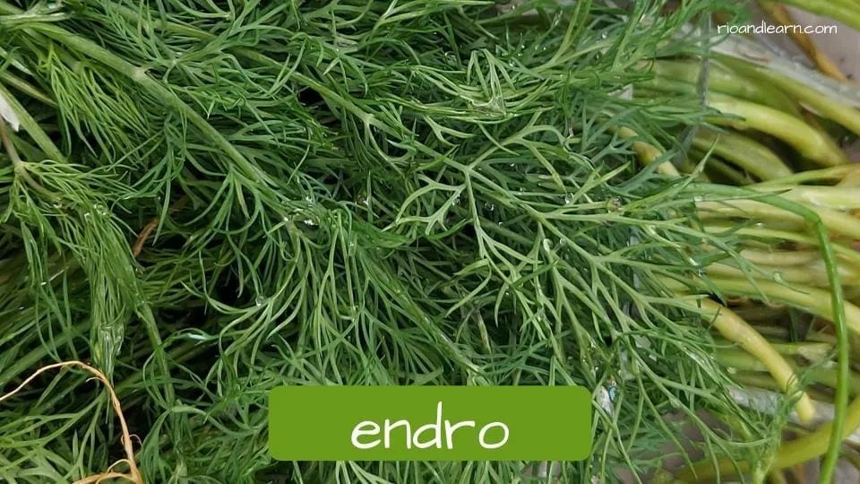 Spices in Brazil A Dica do Dia, Free Portuguese Class, Rio & Learn