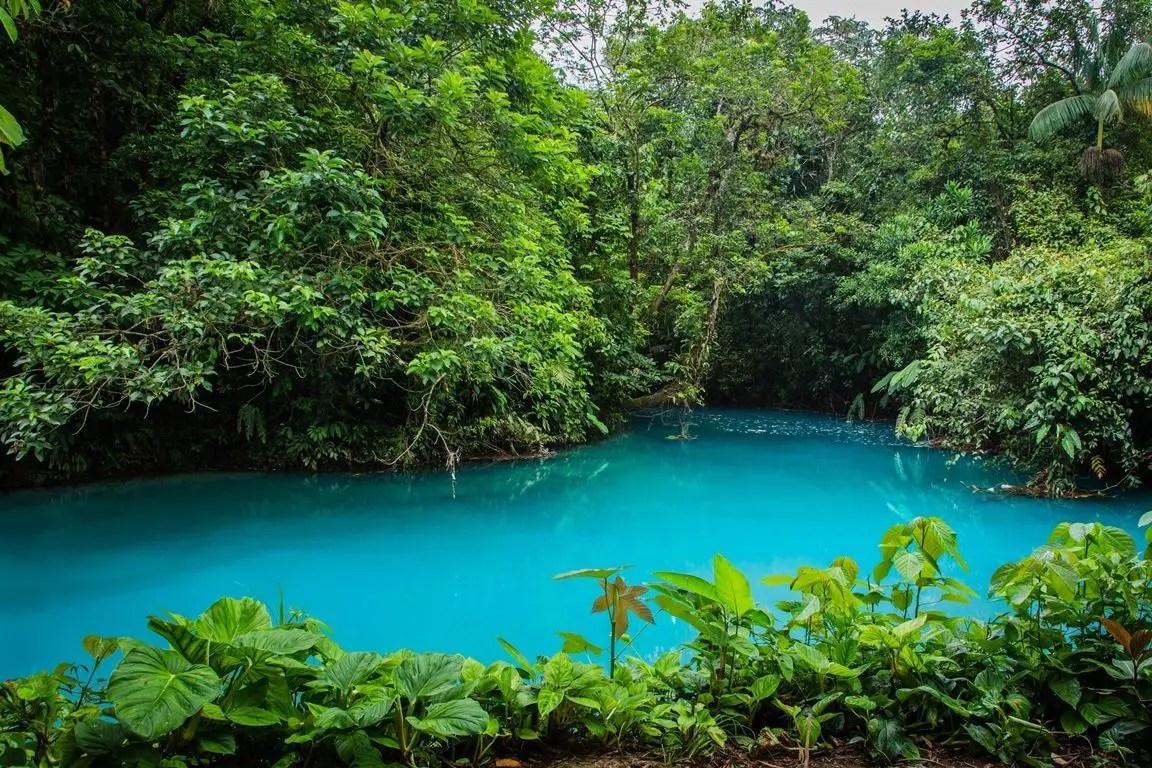 RÍO CELESTE Ubicación, Mapa, y todo lo que necesita saber.
