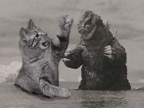The Ultimate Battle! Godzilla Versus Cats! Riot Daily