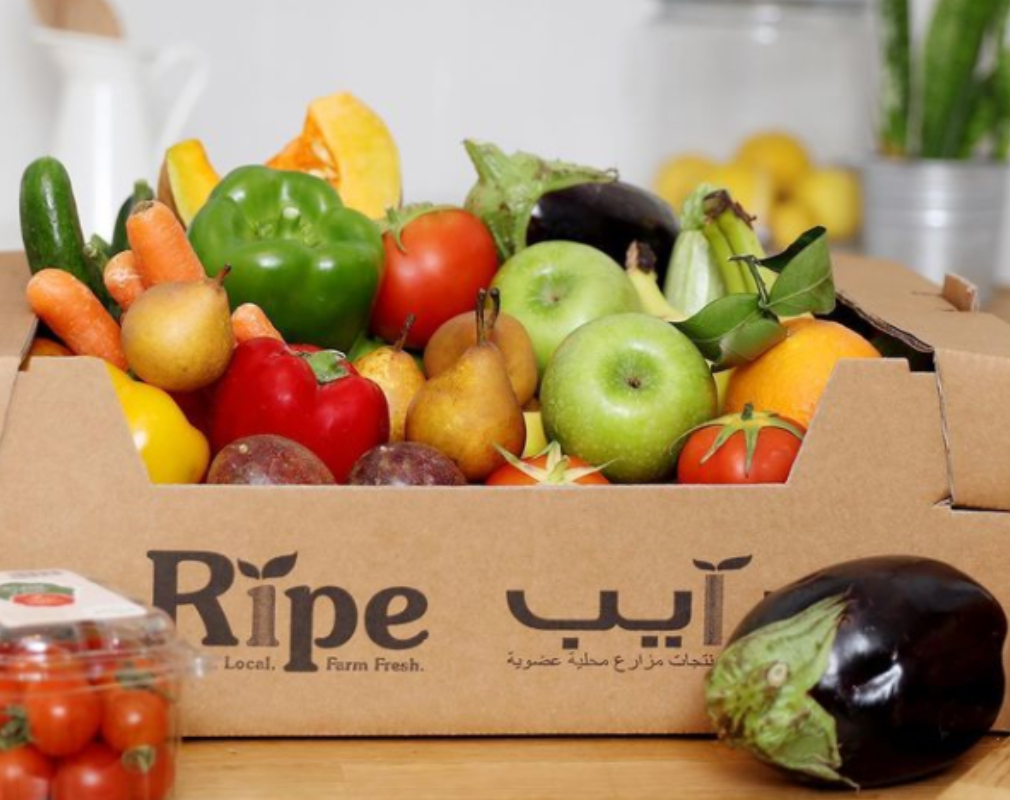 SEASONAL FRUIT & VEGETABLE SUBSCRIPTION LARGE FAMILY MIX BOX Ripe Organic