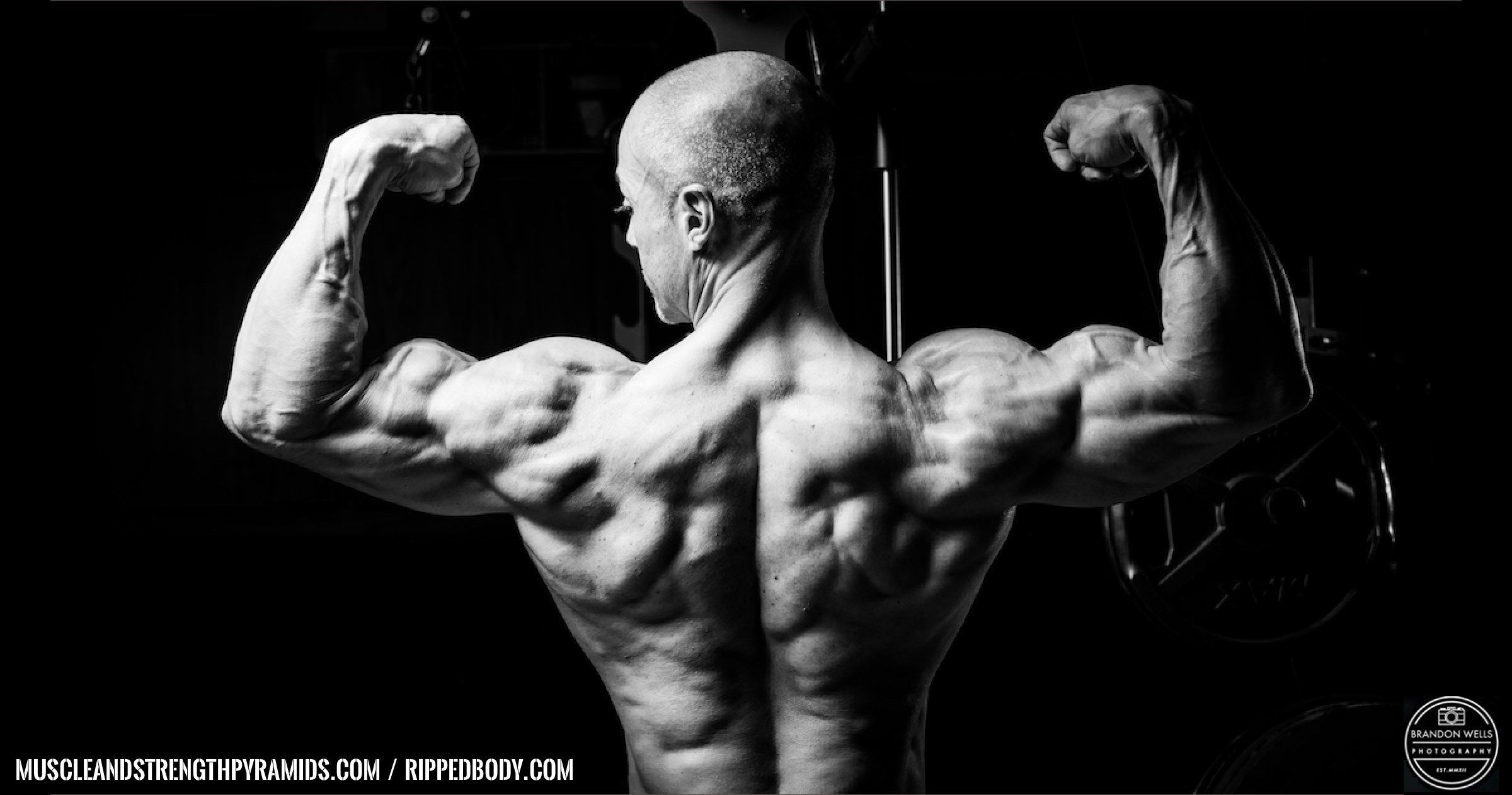 The Intermediate Bodybuilding Sample Program