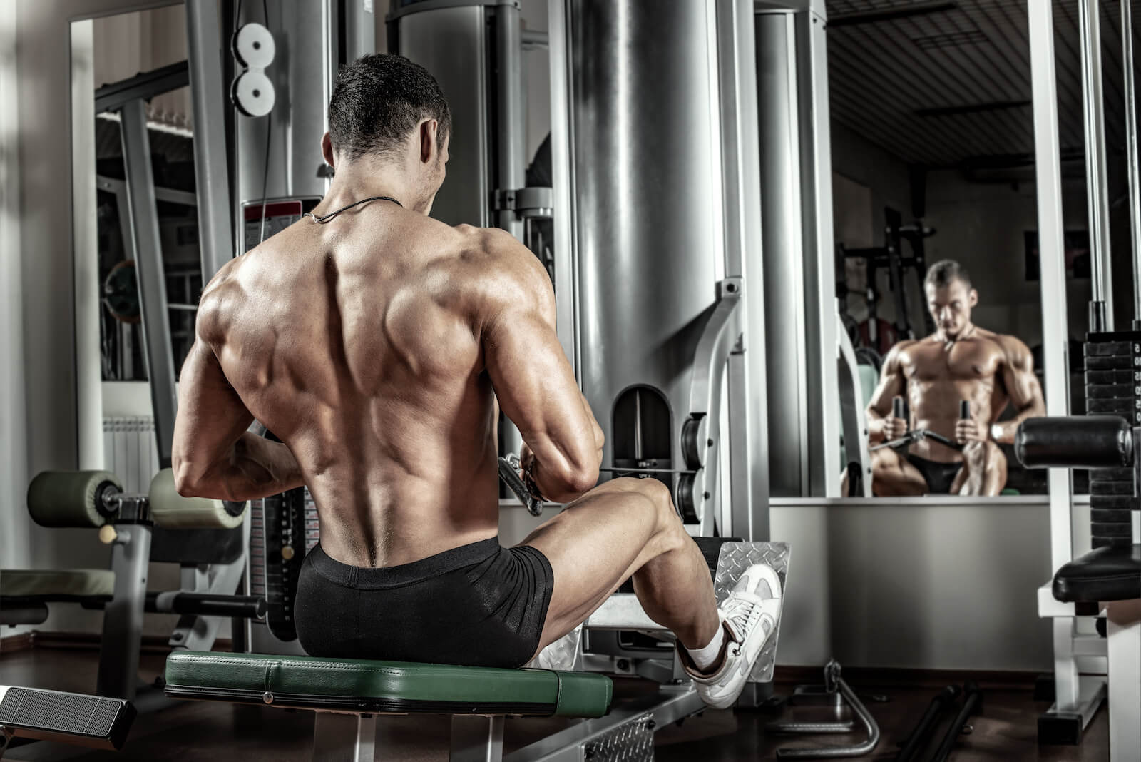 The Intermediate Bodybuilding Program