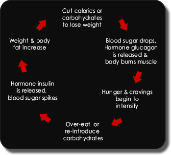 Power Of Blood Stabilization | R.i.p.p.e.d. Planet