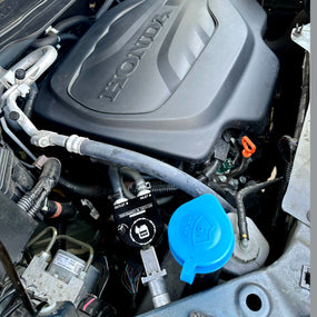 RIPP Modifications